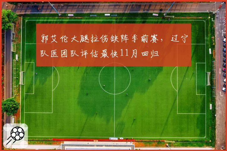 郭艾伦大腿拉伤缺阵季前赛，辽宁队医团队评估最快11月回归