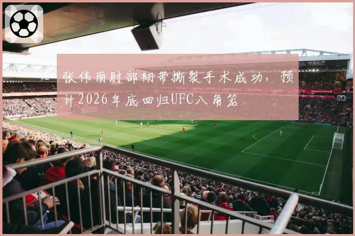 张伟丽肘部韧带撕裂手术成功，预计2026年底回归UFC八角笼
